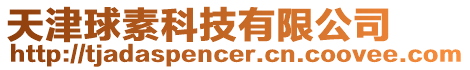 天津球素科技有限公司