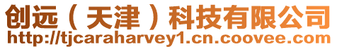 創(chuàng)遠(天津)科技有限公司