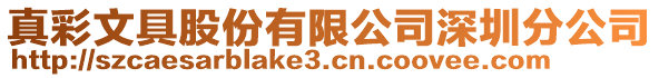 真彩文具股份有限公司深圳分公司