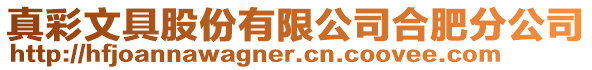 真彩文具股份有限公司合肥分公司