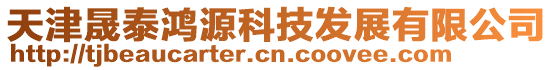 天津晟泰鴻源科技發展有限公司