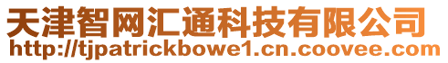 天津智網匯通科技有限公司