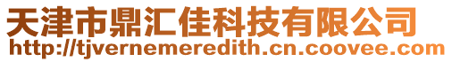 天津市鼎匯佳科技有限公司