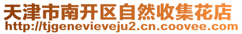 天津市南開(kāi)區(qū)自然收集花店