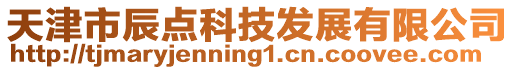 天津市辰點科技發展有限公司