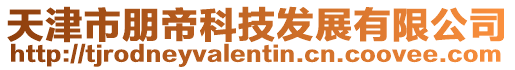 天津市朋帝科技發展有限公司