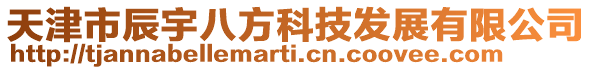 天津市辰宇八方科技發(fā)展有限公司