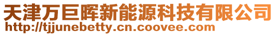 天津萬(wàn)巨暉新能源科技有限公司