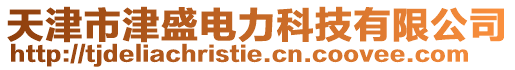 天津市津盛電力科技有限公司