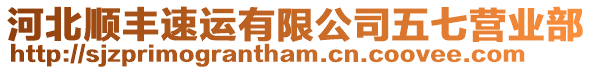 河北順豐速運(yùn)有限公司五七營(yíng)業(yè)部
