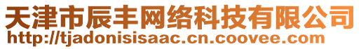 天津市辰豐網絡科技有限公司