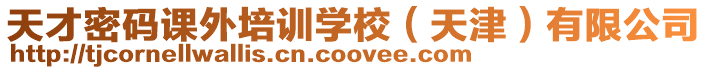 天才密碼課外培訓學校(天津)有限公司