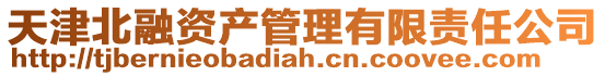 天津北融資產(chǎn)管理有限責(zé)任公司