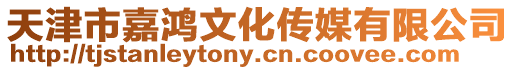 天津市嘉鴻文化傳媒有限公司