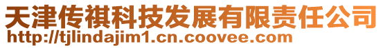 天津傳祺科技發展有限責任公司