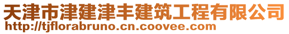 天津市津建津豐建筑工程有限公司