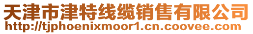 天津市津特線纜銷售有限公司