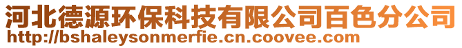 河北德源環(huán)保科技有限公司百色分公司