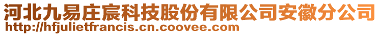 河北九易莊宸科技股份有限公司安徽分公司