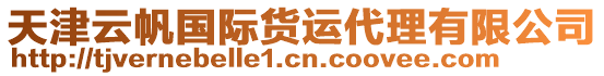 天津云帆國(guó)際貨運(yùn)代理有限公司