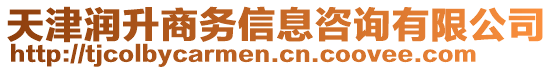 天津潤升商務(wù)信息咨詢有限公司