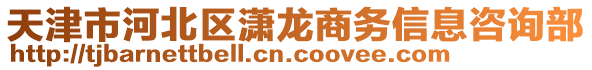 天津市河北區(qū)瀟龍商務(wù)信息咨詢部