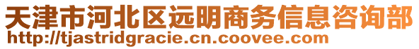 天津市河北區(qū)遠明商務信息咨詢部