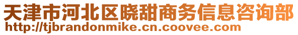 天津市河北區(qū)曉甜商務信息咨詢部