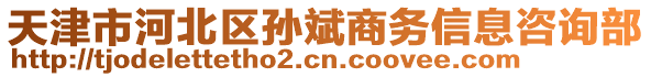 天津市河北區(qū)孫斌商務信息咨詢部