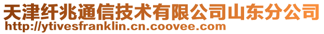 天津纖兆通信技術有限公司山東分公司