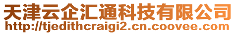 天津云企匯通科技有限公司