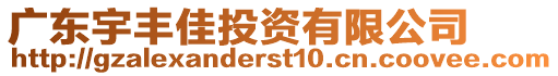 廣東宇豐佳投資有限公司