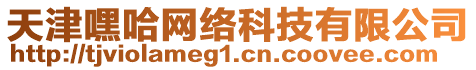 天津嘿哈網(wǎng)絡(luò)科技有限公司