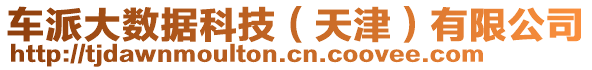 車派大數(shù)據(jù)科技（天津）有限公司