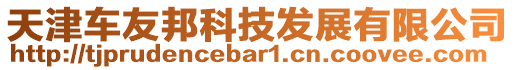 天津車友邦科技發(fā)展有限公司