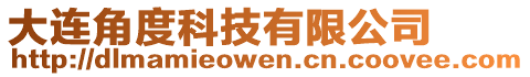 大連角度科技有限公司