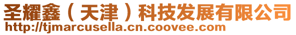 圣耀鑫（天津）科技發(fā)展有限公司