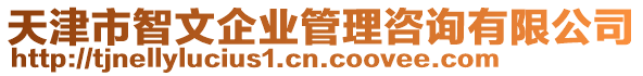 天津市智文企業(yè)管理咨詢有限公司