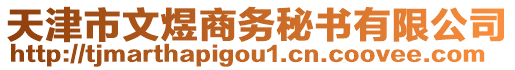 天津市文煜商務(wù)秘書有限公司