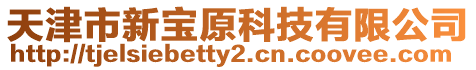 天津市新寶原科技有限公司