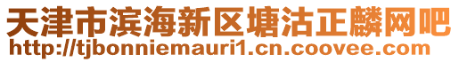 天津市濱海新區(qū)塘沽正麟網(wǎng)吧