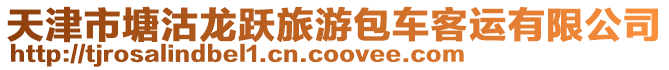 天津市塘沽龍躍旅游包車客運有限公司