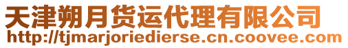 天津朔月貨運代理有限公司