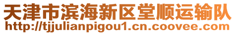 天津市濱海新區(qū)堂順運(yùn)輸隊(duì)