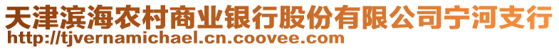 天津濱海農村商業銀行股份有限公司寧河支行