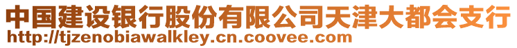 中國建設(shè)銀行股份有限公司天津大都會支行