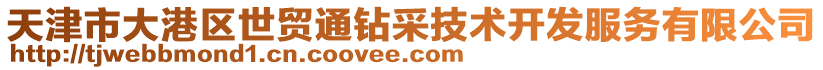 天津市大港區(qū)世貿(mào)通鉆采技術(shù)開(kāi)發(fā)服務(wù)有限公司