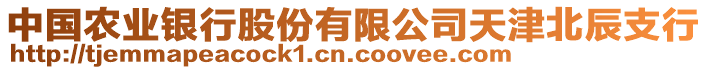 中國農(nóng)業(yè)銀行股份有限公司天津北辰支行