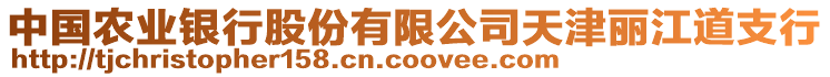 中國農(nóng)業(yè)銀行股份有限公司天津麗江道支行