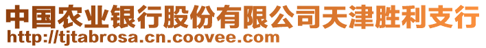 中国农业银行股份有限公司天津胜利支行